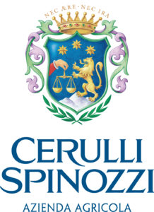 Focus on Andrea Sartori: Wines of Cerulli Spinozzi - Dhall & Nash Fine ...