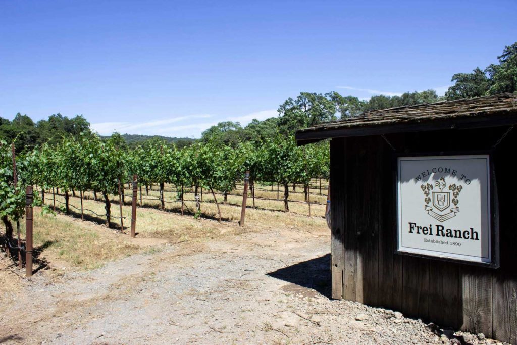 Frei Wine Ranch in Sonoma County, California