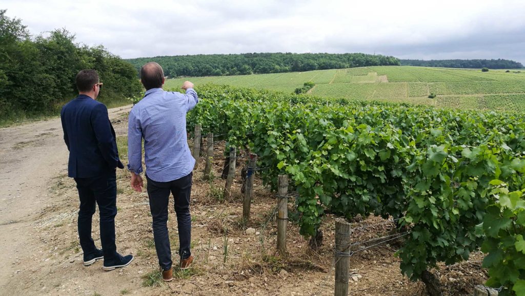Brandon and Cyril in the Domaine Testut vineyards