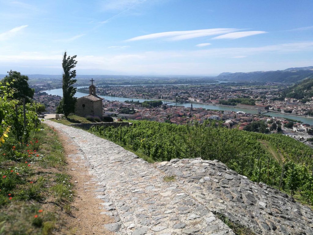 Paul Jaboulet Aine vineyard