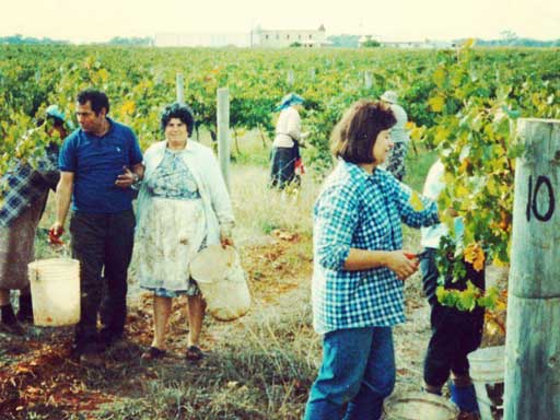 Demetrio and Francesca Zema