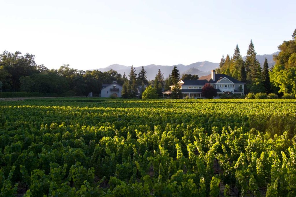 Duckhorn Vineyards, Napa Valley CA